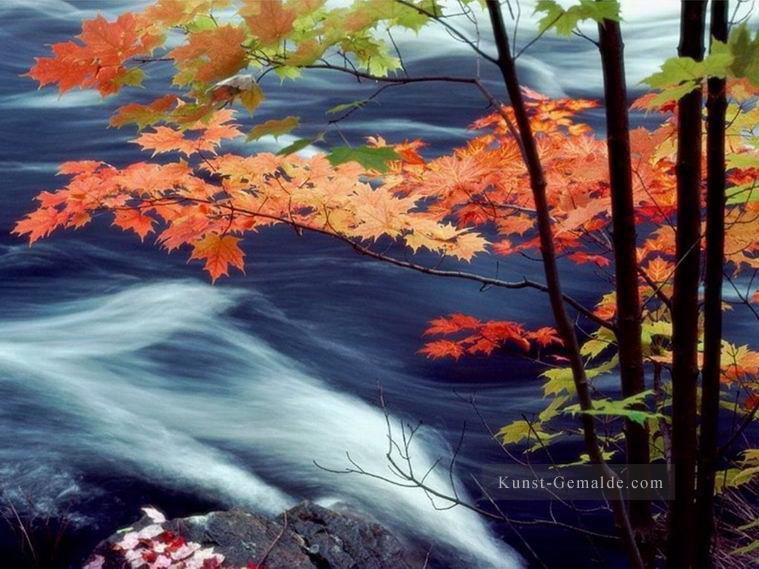 Rote Ahornblätter Fluss Malerei von Fotos zu Kunst Ölgemälde